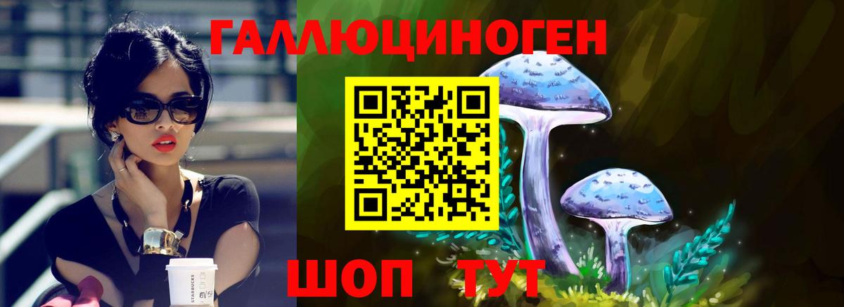 Псилоцибиновые грибы прущие грибы  Псилоцибиновые грибы Magic Shrooms  Грязи  Вход с VPN 